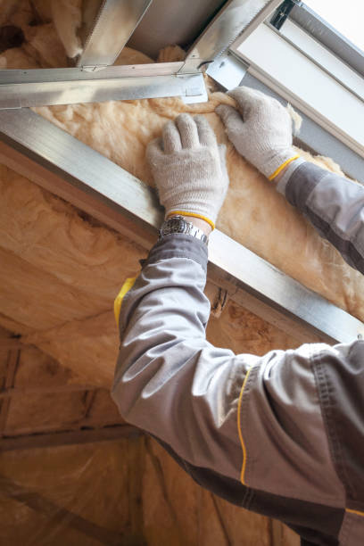 Best Eco-Friendly Insulation in Sundance, WY